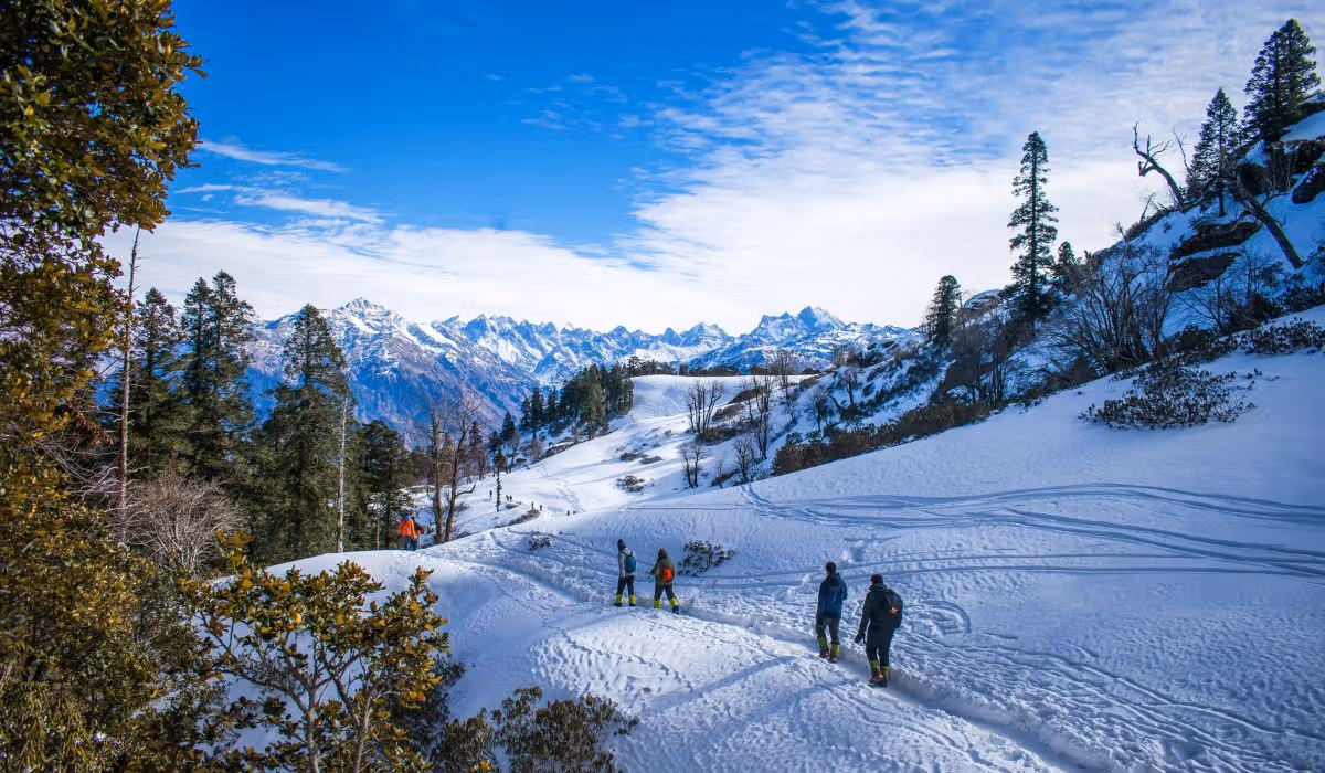 Shimla and Manali Tour